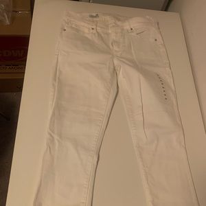 Women’s gap straight leg stretch Jean